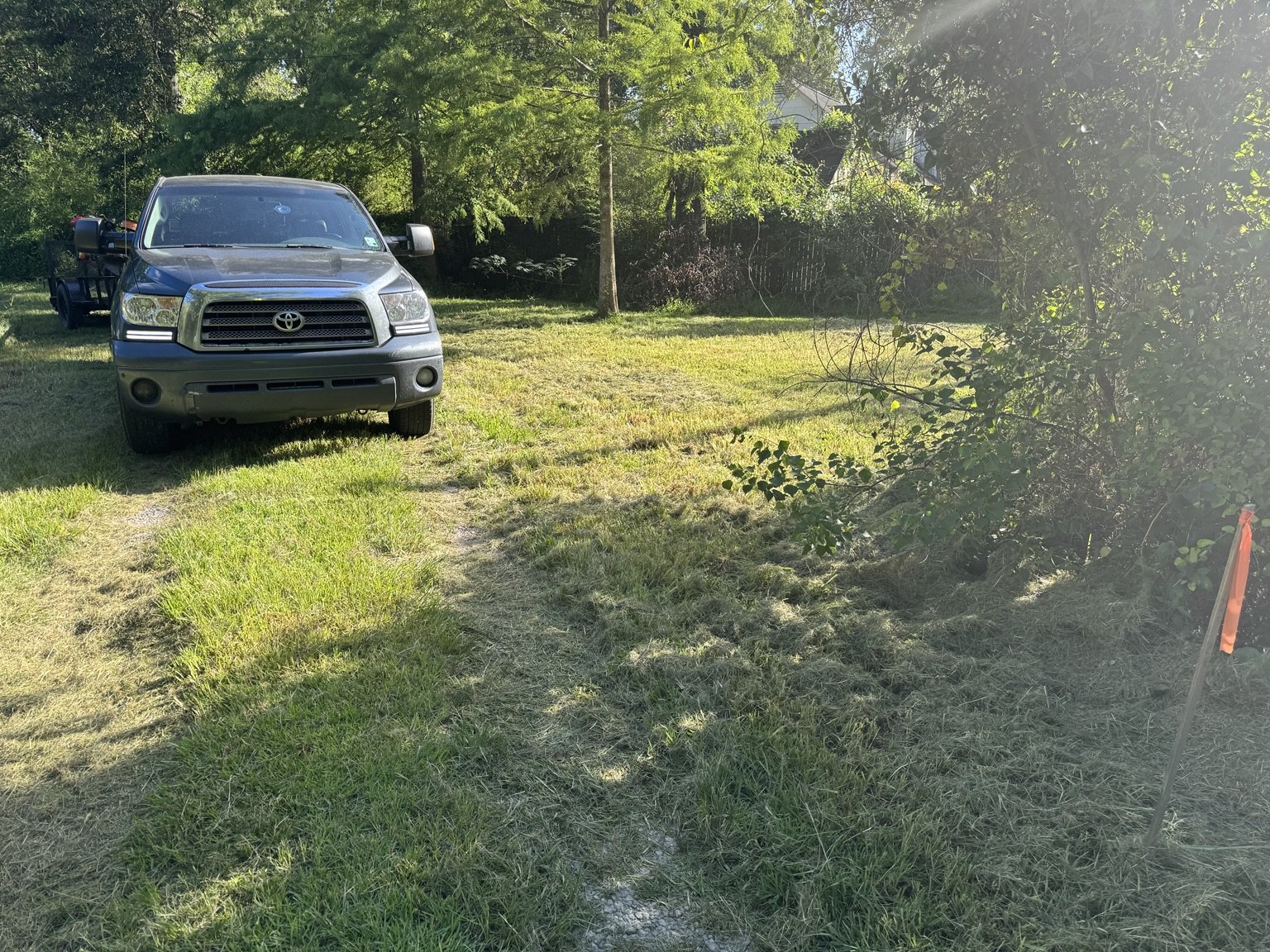 After lawn care service