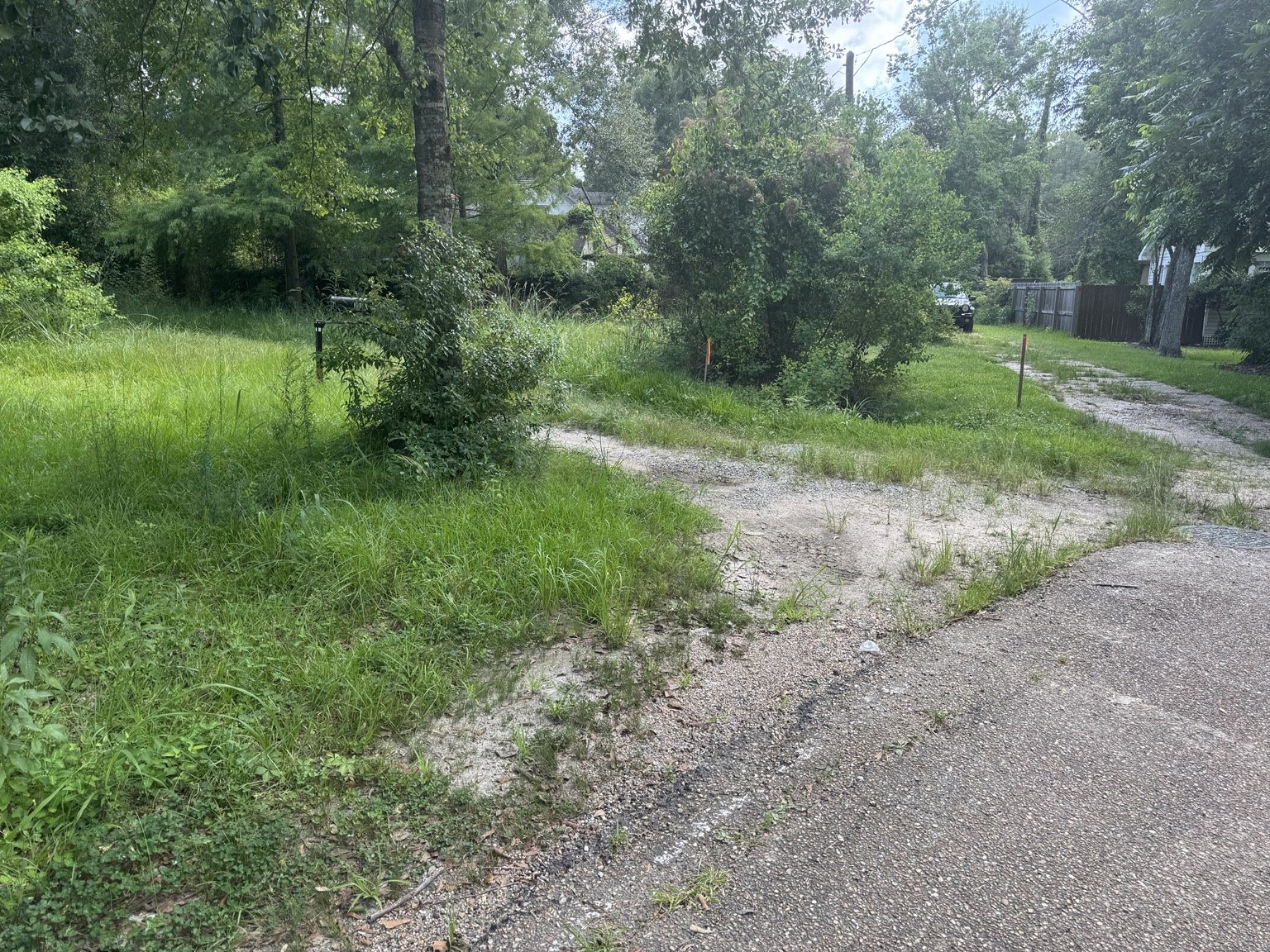 Project 4 before lawn care